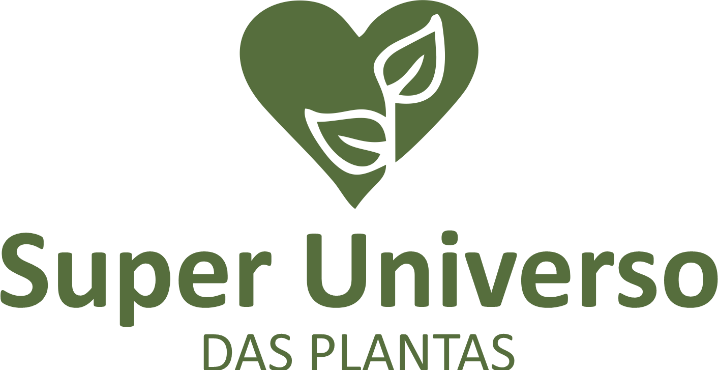 Lírio Aranha: Características, Significado e Dicas de Como Cuidar da Flor