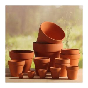 vasos de plantas de cerâmica