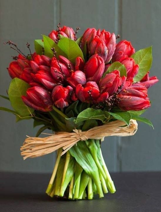 tulipas para sua mãe