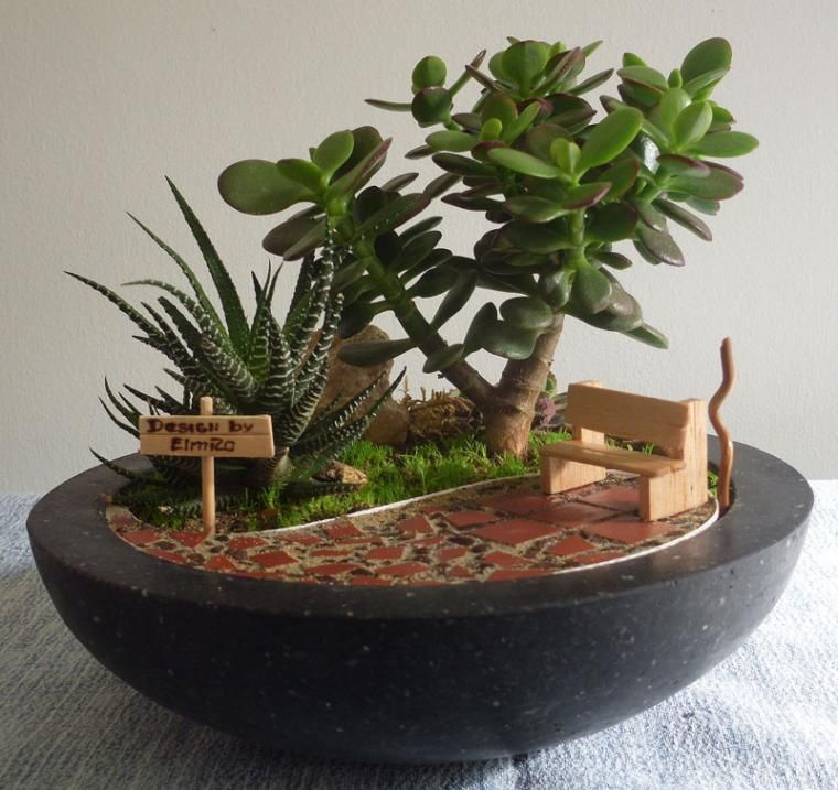 Mini Jardim de Interior