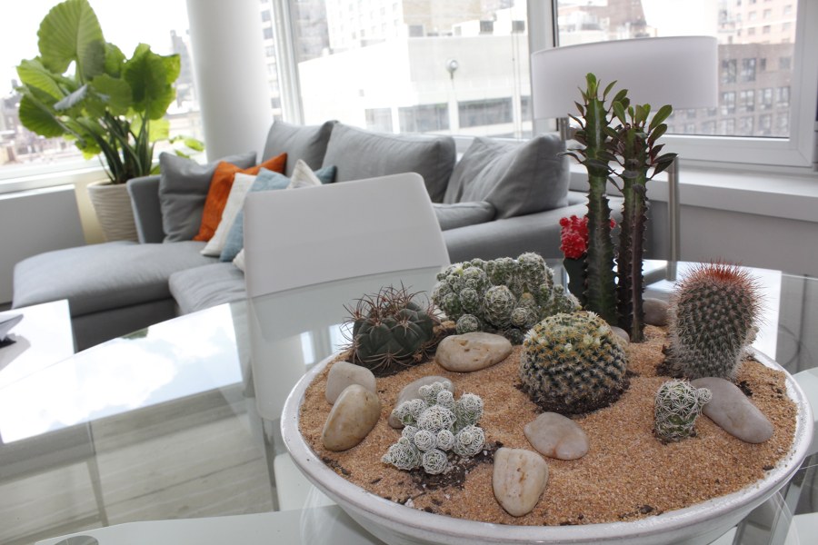 Mini Jardim de Interior